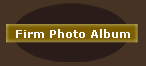 Firm Photo Album